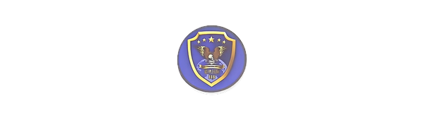 Falcon International Security